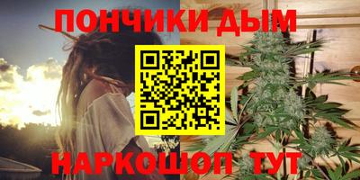ПСИЛОЦИБИНОВЫЕ ГРИБЫ Камышлов