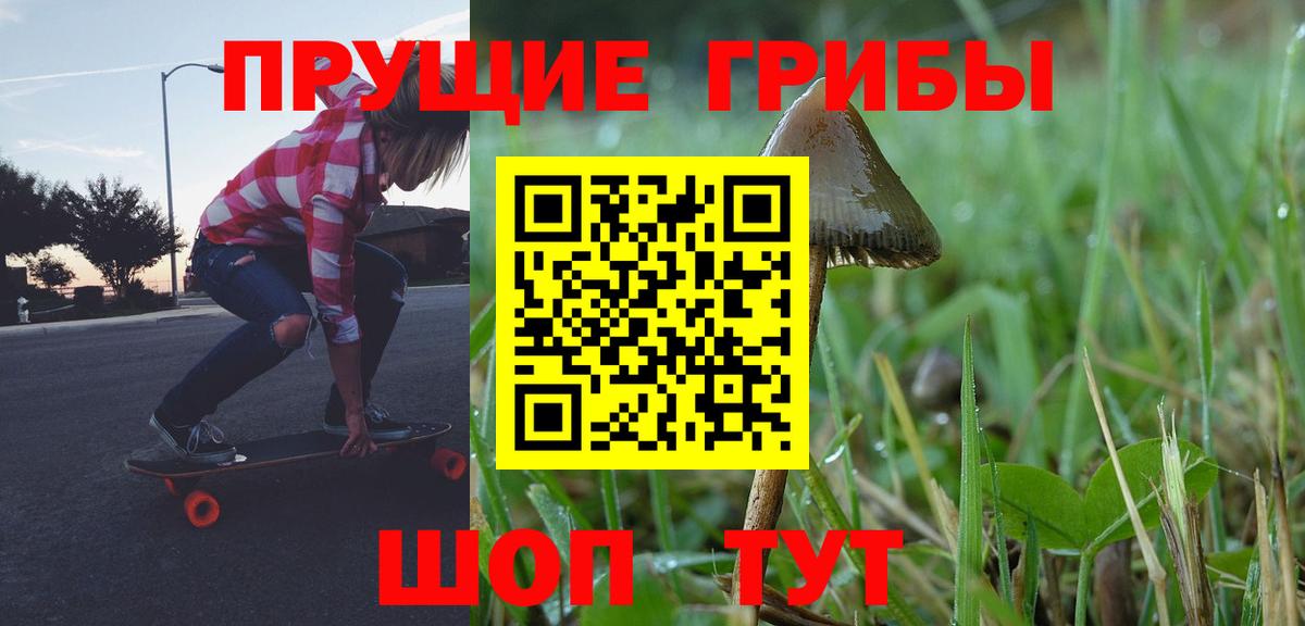 Галлюциногенные грибы Cubensis  Вход с VPN  где купить наркотик  Казань 