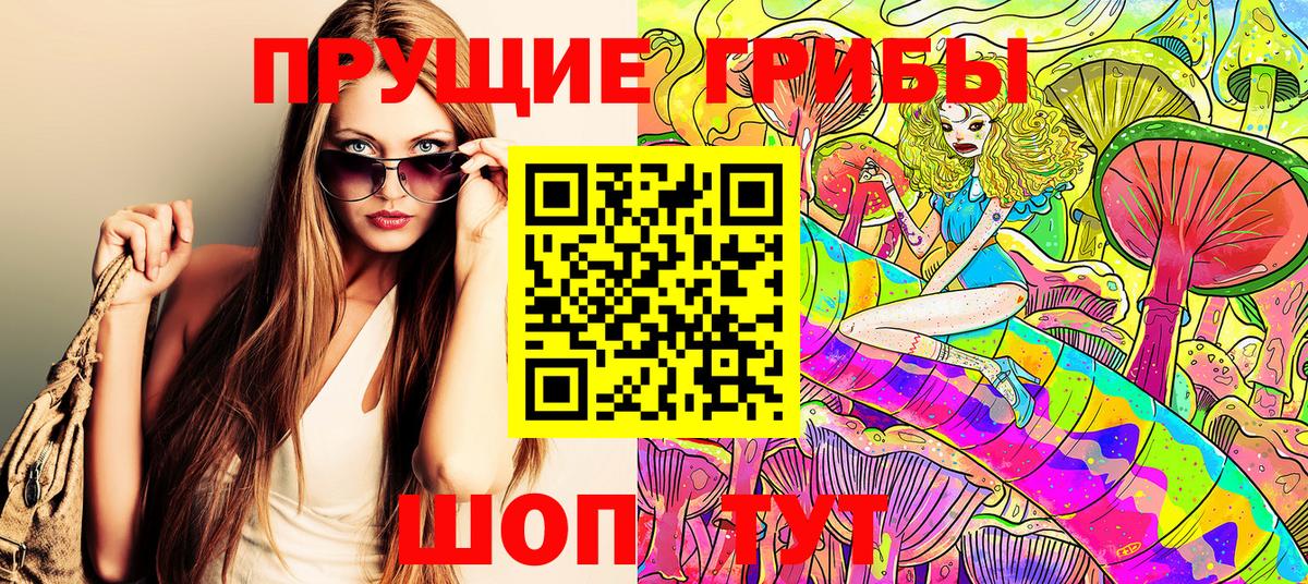 Псилоцибиновые грибы GOLDEN TEACHER Казань